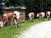 IMG_1564.JPG